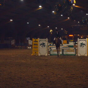 Hondenfoto van liesbeth,Turbo,Luna, Levi en Faith