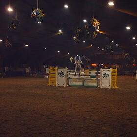 Hondenfoto van liesbeth,Turbo,Luna, Levi en Faith