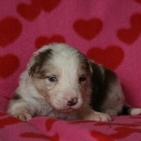 7 oktover Djuna 2 weken en 6 dagen oud