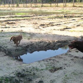 Mo & Xena spelen