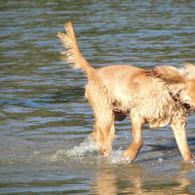 rennen door het water