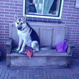lieverd!