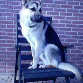 was is ie toch mooi!!!!!!!!