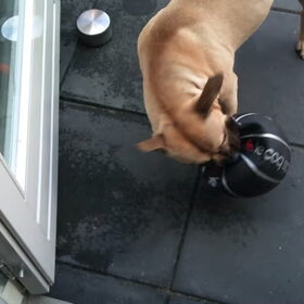 haha kapot in 10 seconde