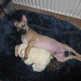 samen met mijn knuffel