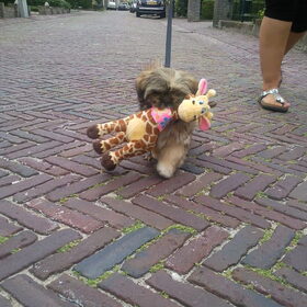 naar de kermis geweest