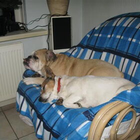 de twee oude bessies