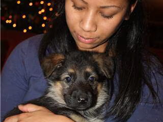 Welcome home Gitana