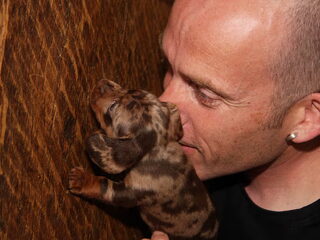 boris is de gelukkigste hond