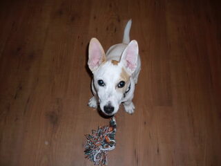 Rosco en James