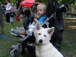 Dagboek van een witte herder pup