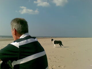 het strand