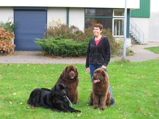 willemijn en bamse