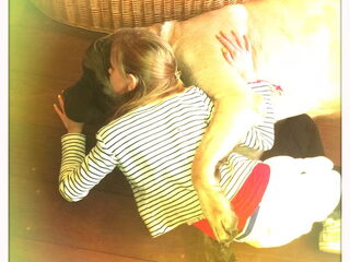 Foto 2 van een Mastiff