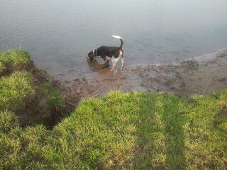 met m,n lieve milow naar het park