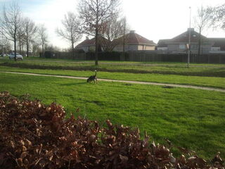 met m,n lieve milow naar het park