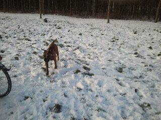 met m,n lieve milow naar het park