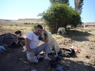 Foto 4 van een Anatolische Herdershond
