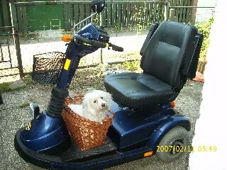 ik ga altijdt met mijn vrouwtje mee op de scotermobiel.