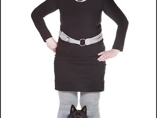 Foto 4 van een Schipperke
