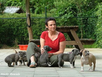 Foto van Stocky Rascals