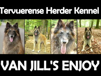 Foto van VAN JILL'S ENJOY