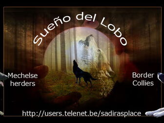 Foto van Sueño del Lobo