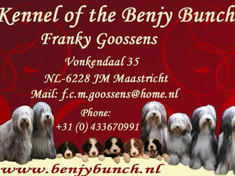 Foto van Of The Benjy Bunch