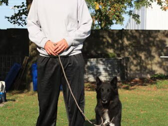 Foto van Groenendaelkennel van Hof ter Brughe