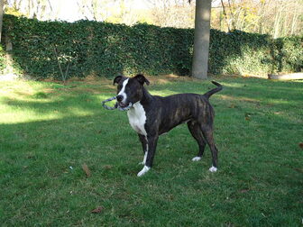 Foto van Marley's