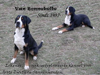 Foto van Bonnebelle's Sennendoodles