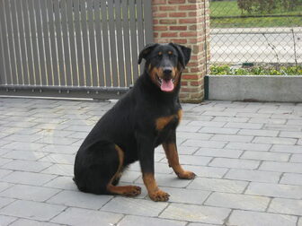 Foto van Le Gardien de Bon