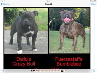 Foto van Fuerzastaffs