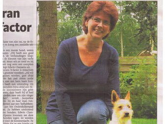 Foto van van de Hienderheuvel
