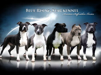Foto van Blue Rising Star