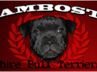 Foto van Of Rambostaff