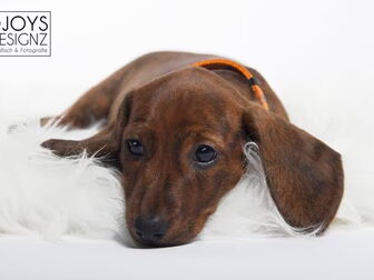 Foto van De Tenderhoeve
