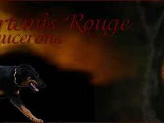 Foto van D'Artemisrouge