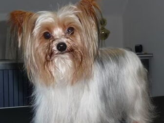 Foto van @ Jolly Shelter