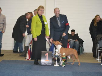 Foto van Domein Deleiestreek