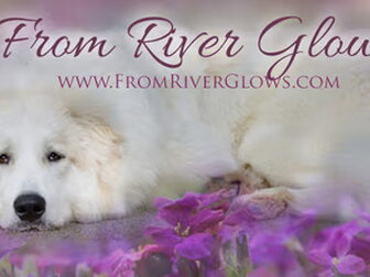 Foto van From River Glows