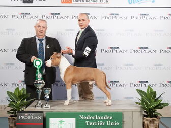 Foto van The Kids Best Frend's kennel