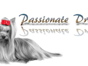 Foto van Passionate Dreams