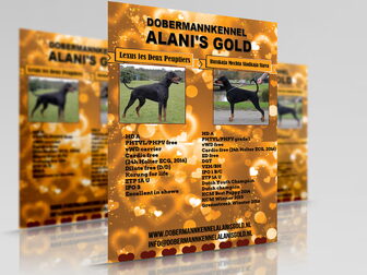 Foto van Alani's Gold