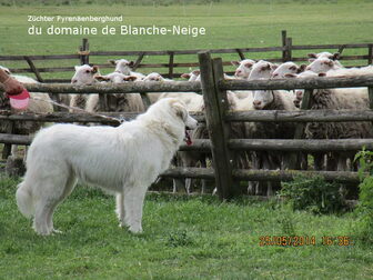 Foto van du domaine de Blanche-Neige