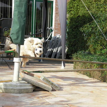 1e plaats · Winnaar: Always come back