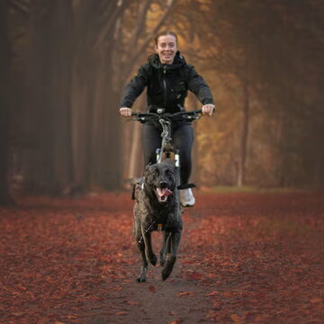 2e plaats: Bikejören in de herfst