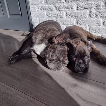3e plaats: Best friends