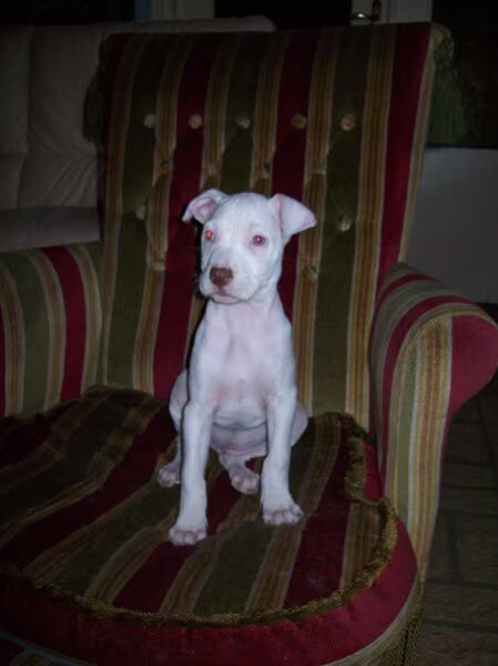 zoey