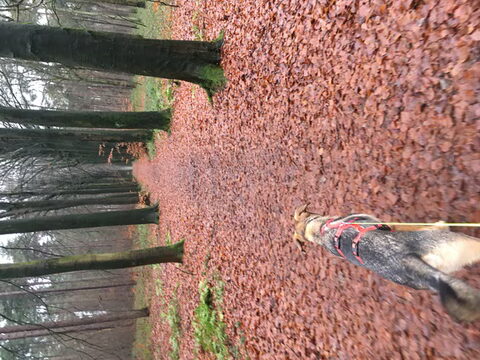 1 maand hier!